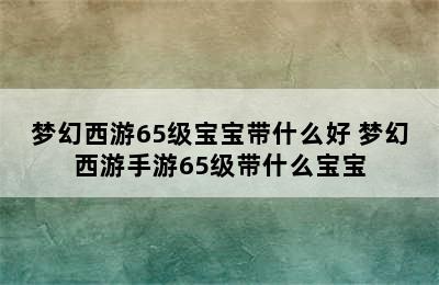 梦幻西游65级宝宝带什么好 梦幻西游手游65级带什么宝宝